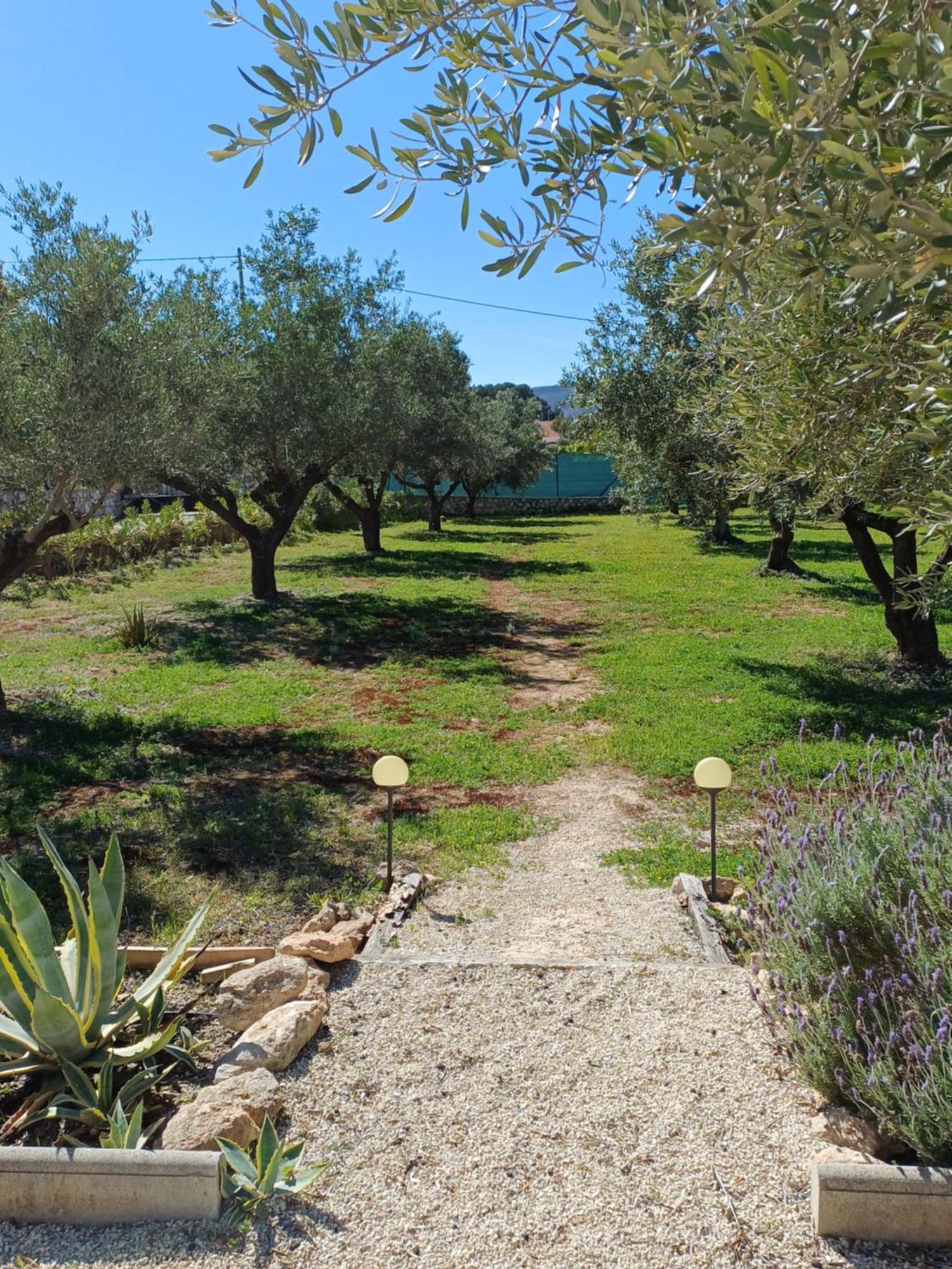 B&B Casa Vitalidad Ontinyent Εξωτερικό φωτογραφία