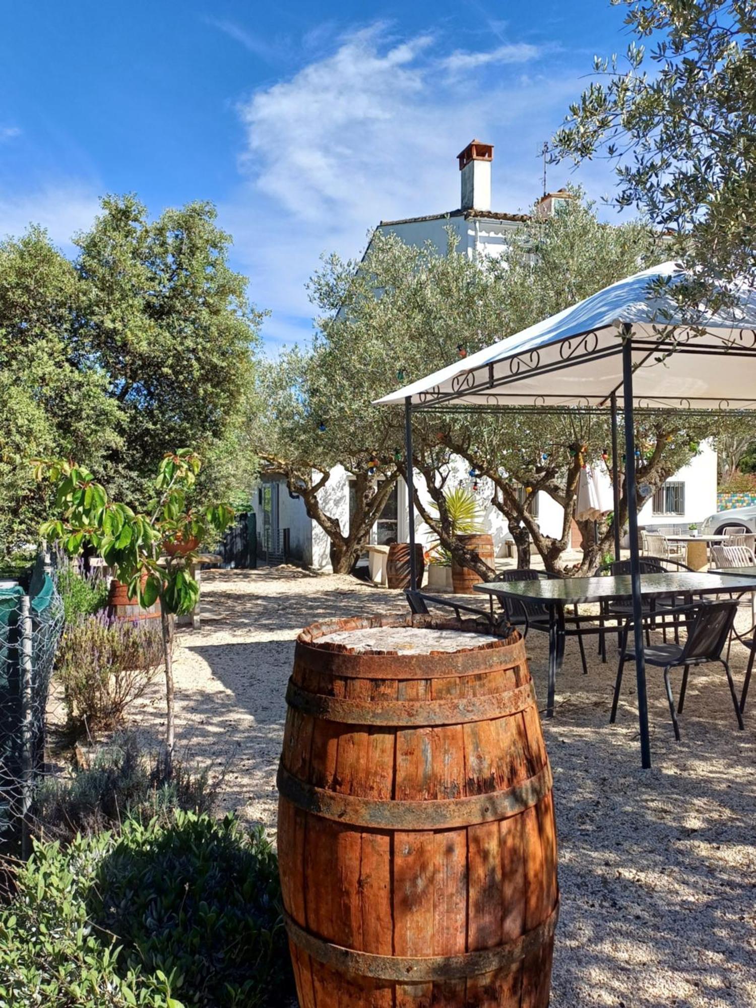 B&B Casa Vitalidad Ontinyent Εξωτερικό φωτογραφία